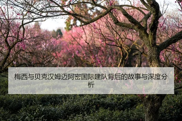 梅西与贝克汉姆迈阿密国际建队背后的故事与深度分析