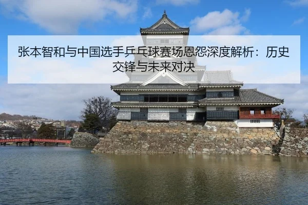 张本智和与中国选手乒乓球赛场恩怨深度解析：历史交锋与未来对决