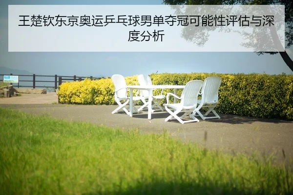 wang-chu-qin-dong-jing-ao-yun-ping-pang-qiu-nan-dan-duo-guan-ke-neng-xing-ping-gu-yu-shen-du-fen-xi-2-548.jpg